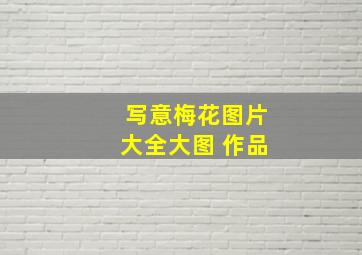 写意梅花图片大全大图 作品